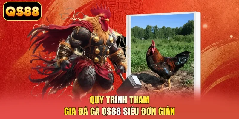 Quy trình tham gia đá gà QS88 siêu đơn giản